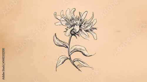 Hand-drawn rough sketch flower vector   -  