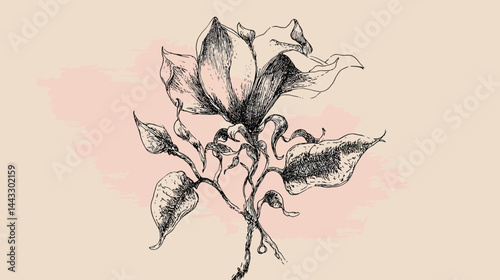 Hand-drawn rough sketch flower vector   -  