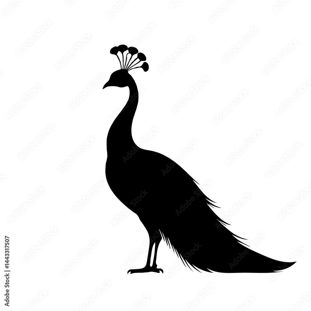 Fototapeta premium Standing peacock silhouette vector illustration 