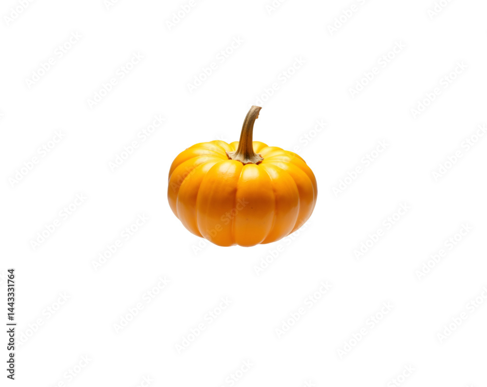 Obraz premium A Perfectly Isolated Butternut Squash Displaying its Unique Shape and Vibrant Coloration Against a Solid Backdrop for Culinary and Nutritional Uses