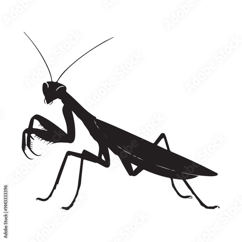 Mantis Clipart Design for Nature Projects