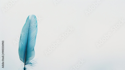 Obraz na płótnie Blue feather isolated on soft white background, creating serene and calming atmosphere w salonie