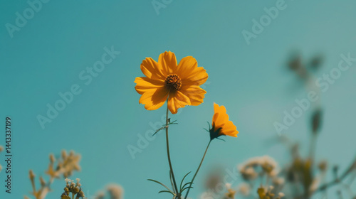 Obraz na płótnie Bright yellow flower stands tall against pale mint background, radiating beauty and joy in nature embrace w salonie