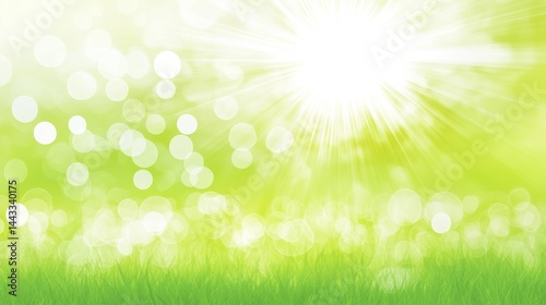 Bright sunlight and bokeh over green grass in morning field background.