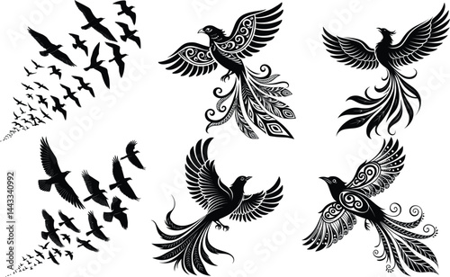 Six Artistic Black and White Bird Illustrations with Ornamental Details