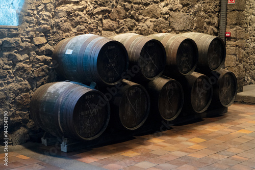 Obraz na płótnie Wine cellar, row of wooden barrels w salonie