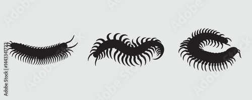 Silhouettes of centipedes in various curved positions, showcasing their segmented bodies and numerous legs on a light gray background