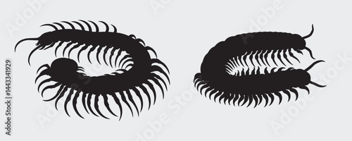 Silhouettes of centipedes in various curved positions, showcasing their segmented bodies and numerous legs on a light gray background