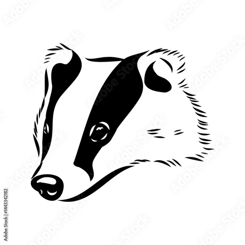 head badger symmetric, sketch vector graphics color picture
