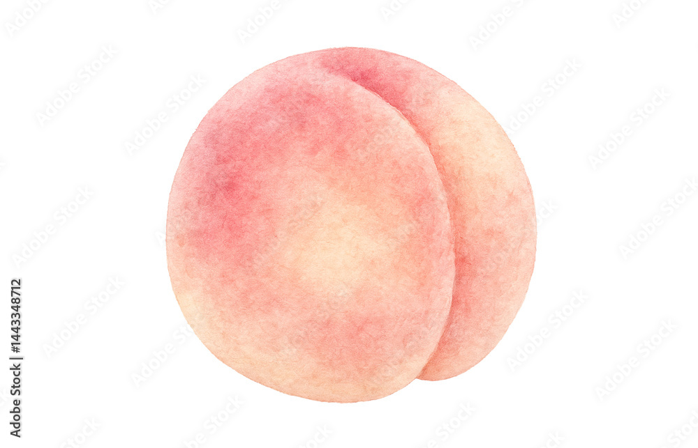 桃 イラスト 水彩 白桃 桃 イラスト 水彩 白桃