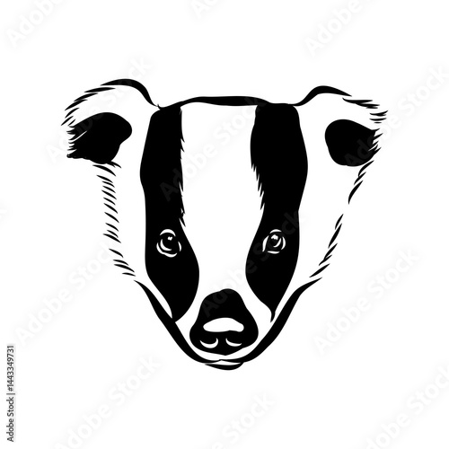 head badger symmetric, sketch vector graphics color picture