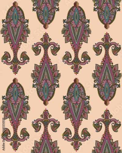 colorful paisley mughal motif  butta pattern ground texture