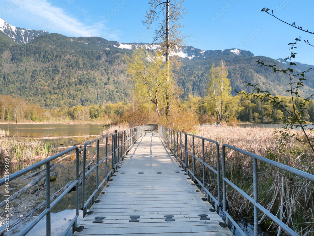 Fototapeta premium Bridge leading to a lookout at the Cheam Lake Wetlands Regional Park during a spring season in Rosedale, Fraser Valley, British Columbia, Canada