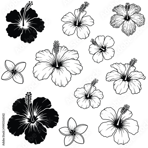 Hawaii tropical hibiscus flowers set, black stencil silhouette tattoo. Vector set of monochrome Hawaiian and Polynesian vegetation blooms, floral decal elements of culture, beauty and nature