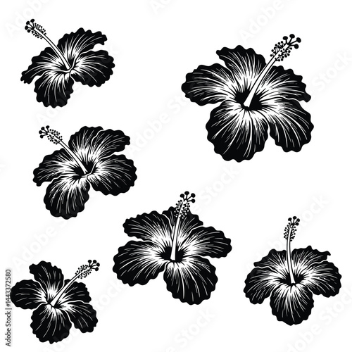 Hawaii tropical hibiscus flowers set, black stencil silhouette tattoo. Vector set of monochrome Hawaiian and Polynesian vegetation blooms, floral decal elements of culture, beauty and nature