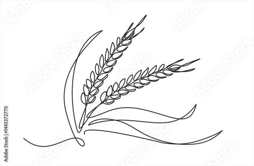 Continuous one line drawing of wheat. Barley or Rye outline vector illustration. Editable stroke. 	