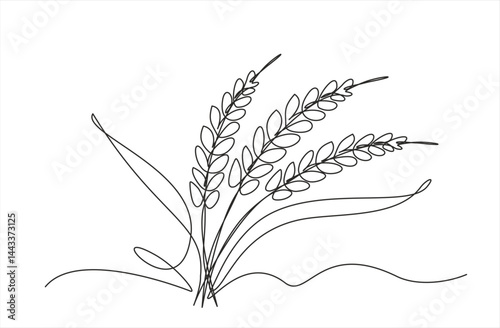 Continuous one line drawing of wheat. Barley or Rye outline vector illustration. Editable stroke. 	
