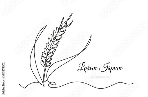 Continuous one line drawing of wheat. Barley or Rye outline vector illustration. Editable stroke. 	