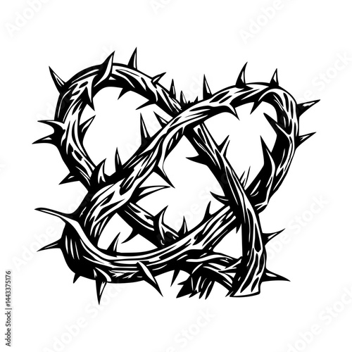 Thorny vines illustration in vintage style
