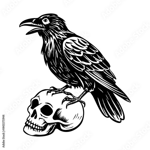 Skull raven illustration in vintage style