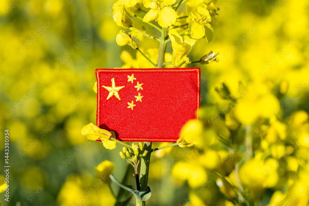 China agriculture. Chinese flag and rapeseed field. Concept of the agricultural industry of the middle country. Food and biofuel production, blooming rapeseed field. closeup