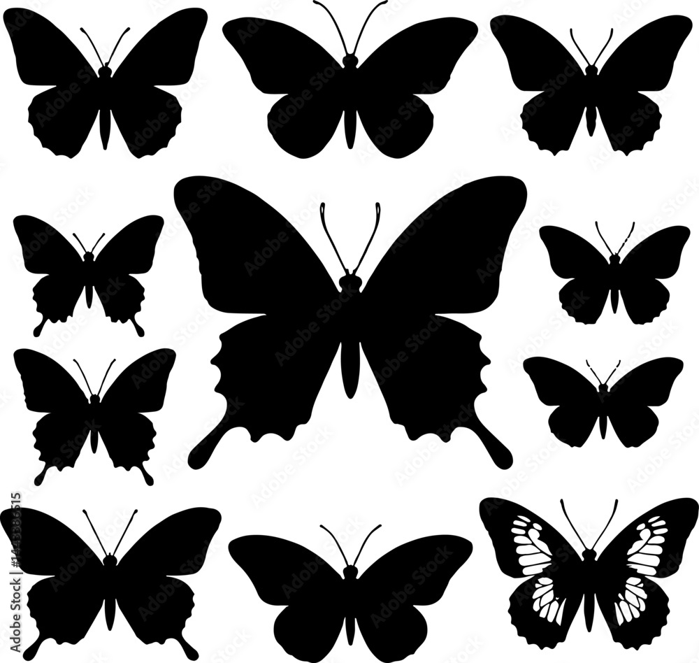 collections of butterfly silhouettes vector illustration collections of butterfly silhouettes vector illustration