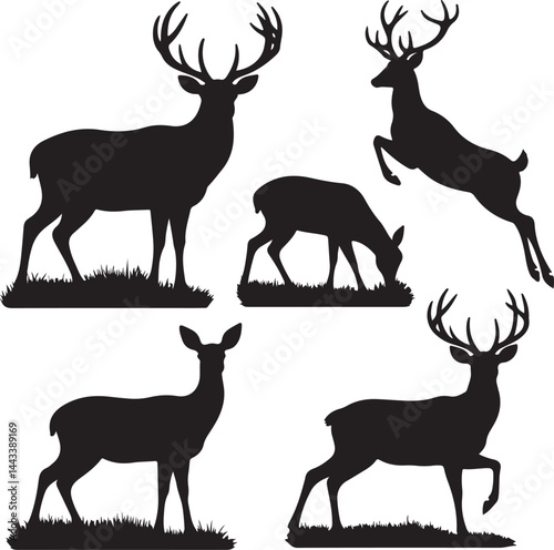 Deer silhouette set, standing buck, grazing doe, leaping deer, antlers, winter woodland theme, black vector wildlife clipart
