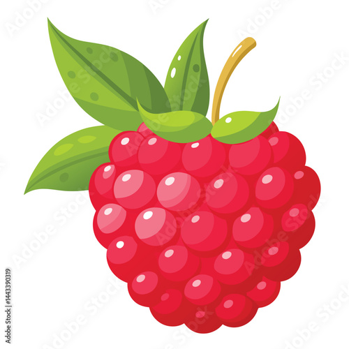 vector illustration of ripe raspberries