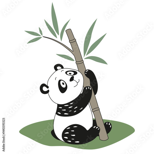 Baby bear on grass with bamboo. Panda drawing isolated on white background. Vector illustration with animals in cartoon style. Cute wild character for kids books illustrating, zoo.