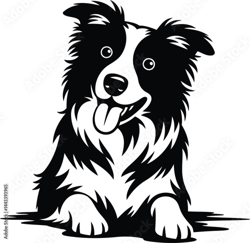 Border Collie Dog silhouette vector design.