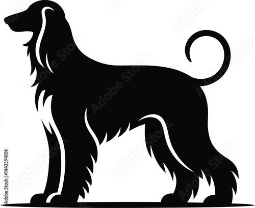 Silhouette of an Afghan Hound Dog Design Vector.