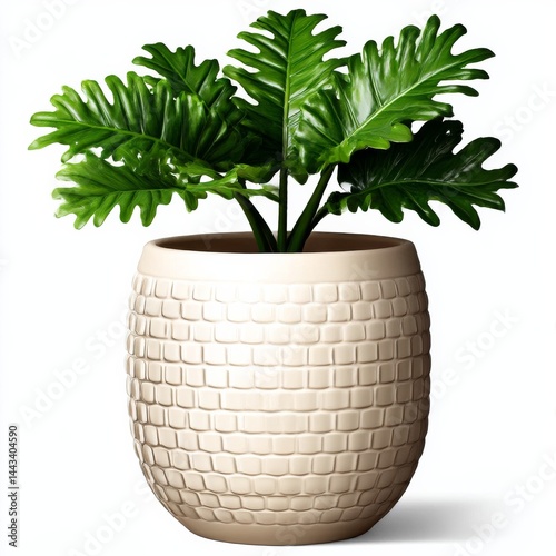 Obraz na płótnie Philodendron Selloum: A Lush Indoor Plant in a Textured Ceramic Pot, Bringing a Touch of Greenery and Modern Design w salonie