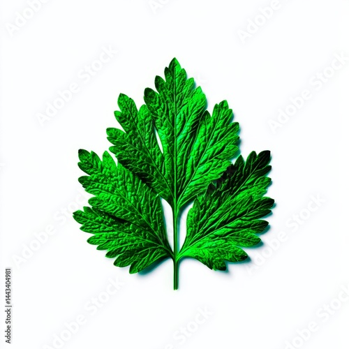 Obraz na płótnie Vibrant Green Parsley Leaf on White Background: A Detailed Look at Culinary Herb Freshness and Texture w salonie