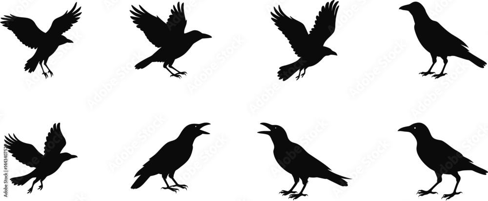 Fototapeta premium Silhouettes of Flying and Standing Crows in Various Poses