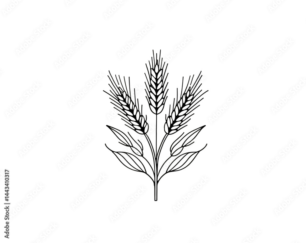 Fototapeta premium Elegant organic wheat line art illustration showcasing a simplistic yet detailed depiction, perfect for designs requiring a touch of nature and minimalist aesthetics