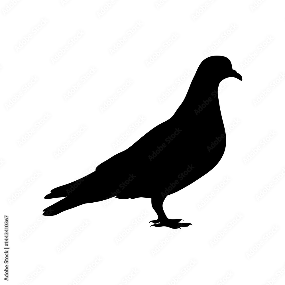 Fototapeta premium Minimalist and detailed silhouette of a pigeon bird standing on the ground
