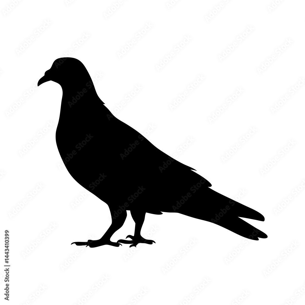 Fototapeta premium Minimalist and detailed silhouette of a pigeon bird standing on the ground
