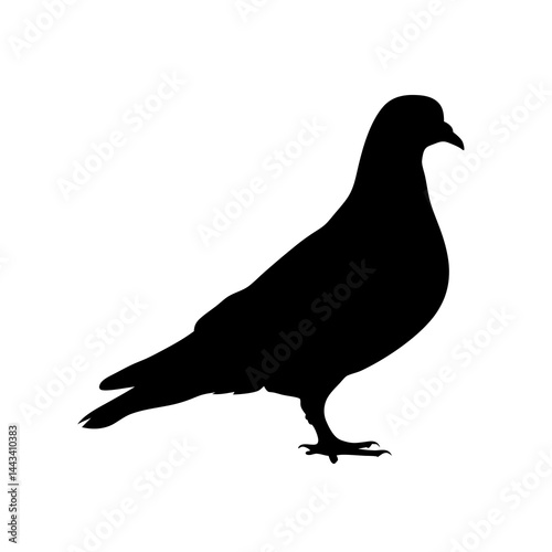 Minimalist and detailed silhouette of a pigeon bird standing on the ground
