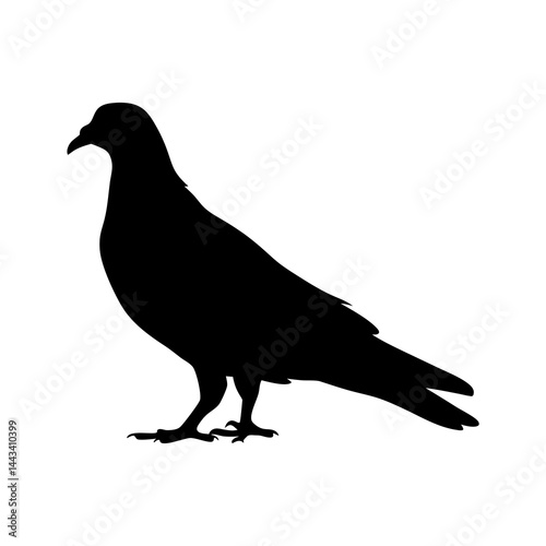 Minimalist and detailed silhouette of a pigeon bird standing on the ground photo