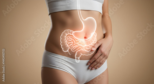 Slender Woman with Glowing Stomach and Intestines Illustration on Beige Background Promoting Digestive Health