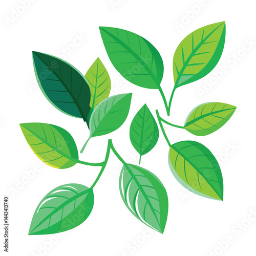 110 Vactor Leaf Green Margosa Tropical Leave. Marjoram Herb and Spice Bay Leaf Icon on 