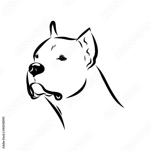Argentine Great Dane vector sketch beautiful Great Dane line art images
