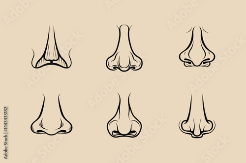 Set of various human nose shapes artistic line drawing illustration