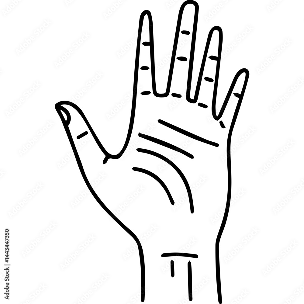 Fototapeta premium Open human hand in vector line style on white background 