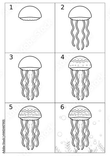 instructions on how to draw a jellyfish. online art, sketch, coloring book. a set of pictures, a tutorial for beginners. marine life, hydroid, scyphoid. an animal floating in the water column against 
