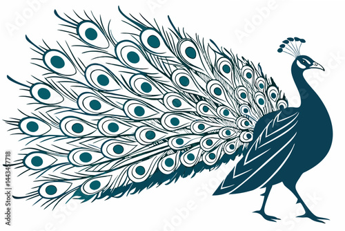 peacock with feathers