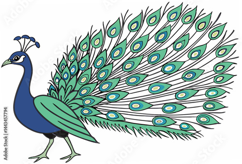 peacock with feathers