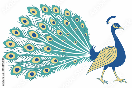 peacock with feathers