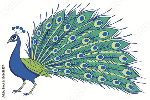 peacock with feathers
