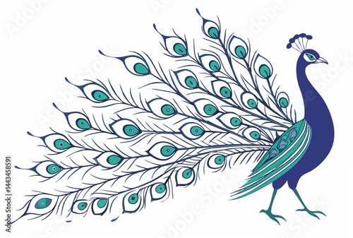 peacock with feathers